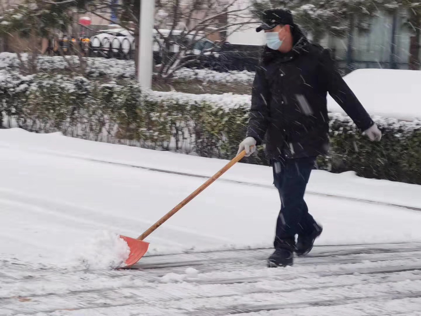 图片包含 雪花, 户外, 树, 人员已生成极高可信度的说明